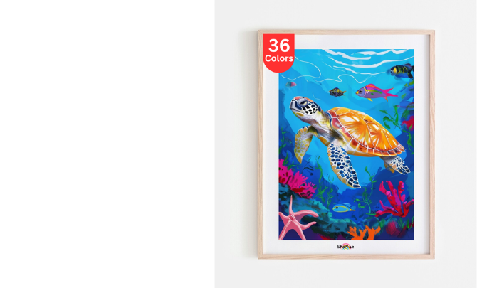 Paint By Numbers </br>
Collection